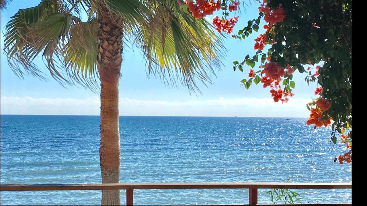 Mi Capricho 3-5 Beachfront- Apartment With Sea Views In Costa Del Sol Sitio de Calahonda Exterior foto
